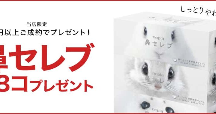 【キャンペーン】1万円以上ご成約でプレゼント